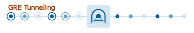 GRE Tunneling with packet brokers GRE tunneling and de-tunneling, VXLAN de-tunneling, and ERSPAN stripping