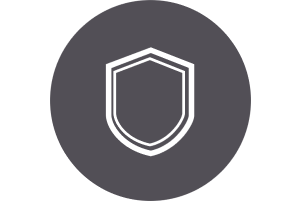 Shield Icon