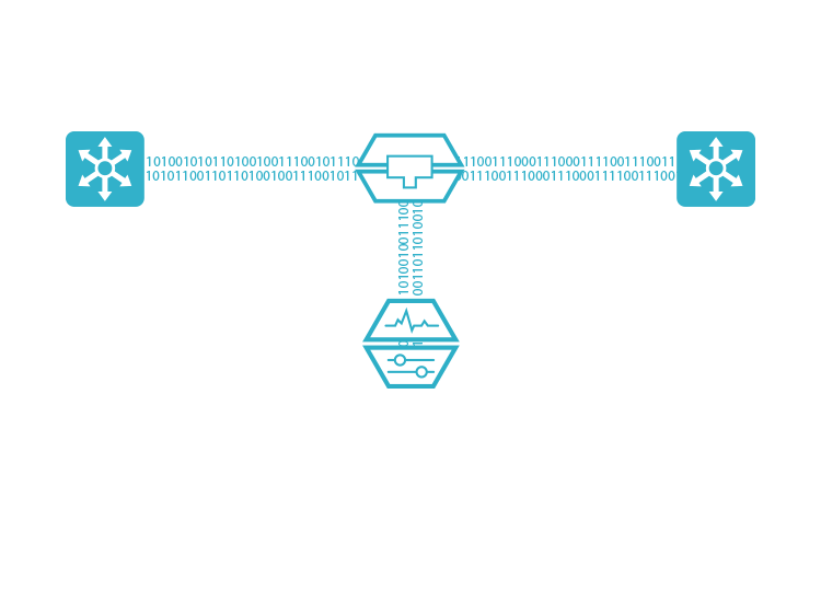 IXIA Security Architecture