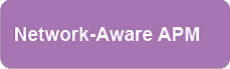 apmcomponents5 Network Aware APM