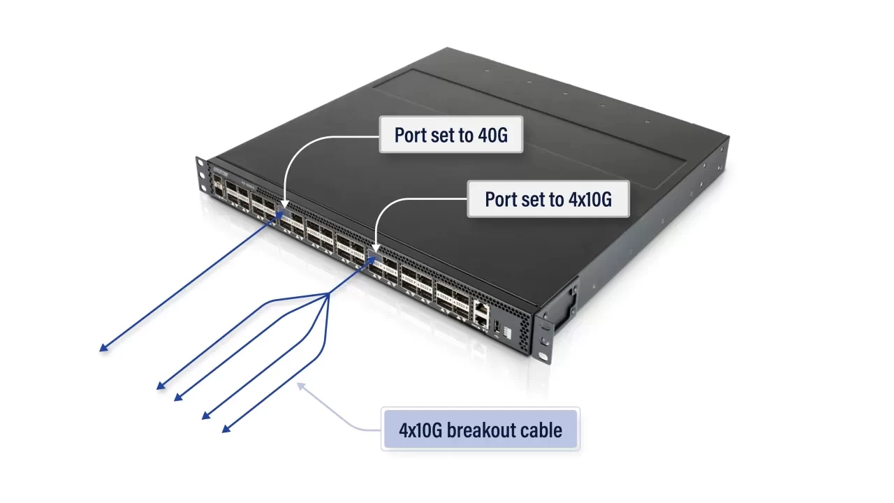 NPB Port illustration