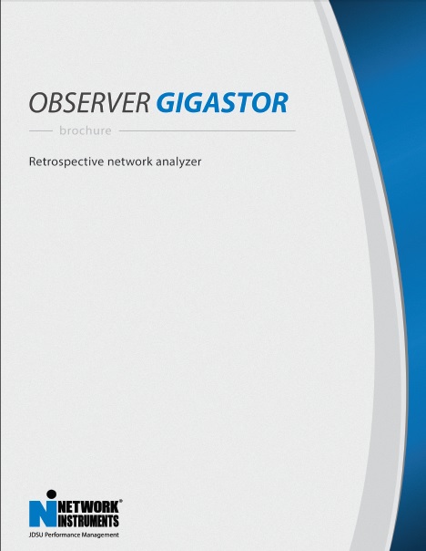 Observer Gigastor Brochure